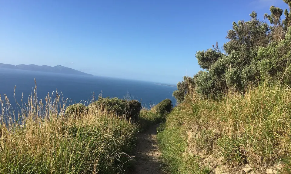 Escarpment Track, Wellington