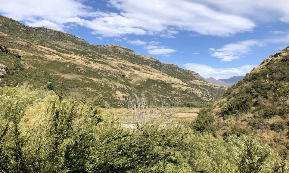 Motatapu River Track, Otago