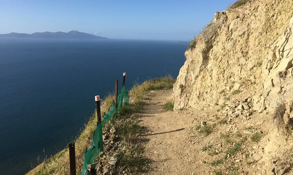 Escarpment Track, Wellington