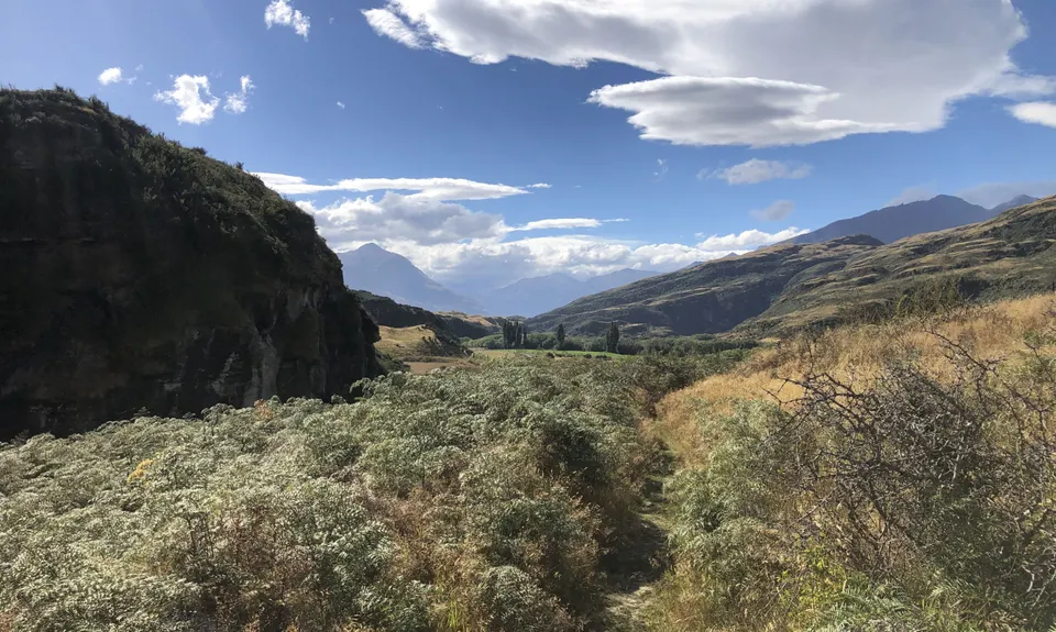 Motatapu River Track, Otago