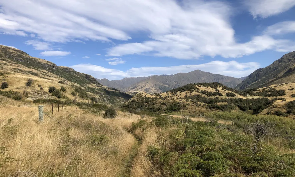 Motatapu River Track, Otago