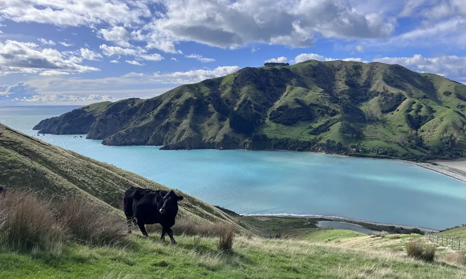 Cable Bay - Glenduan, Nelson