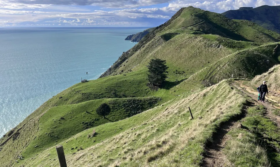 Cable Bay - Glenduan, Nelson