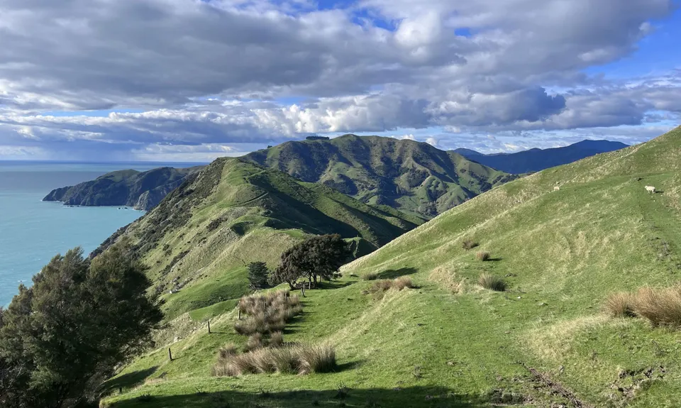 Cable Bay - Glenduan, Nelson