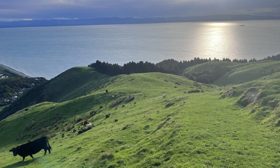 Cable Bay - Glenduan, Nelson