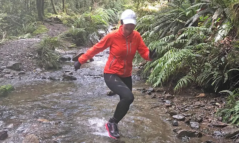 Pillars of Hercules , Waikato