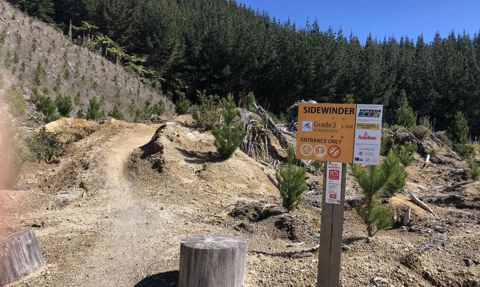 Fat Man's Run, Bay of Plenty
