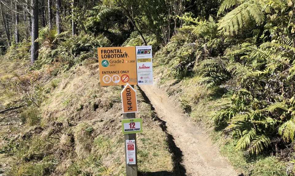 Fat Man's Run, Bay of Plenty