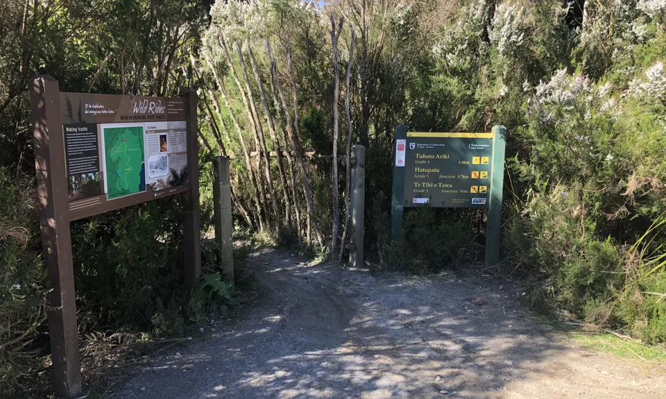 Fat Man's Run, Bay of Plenty