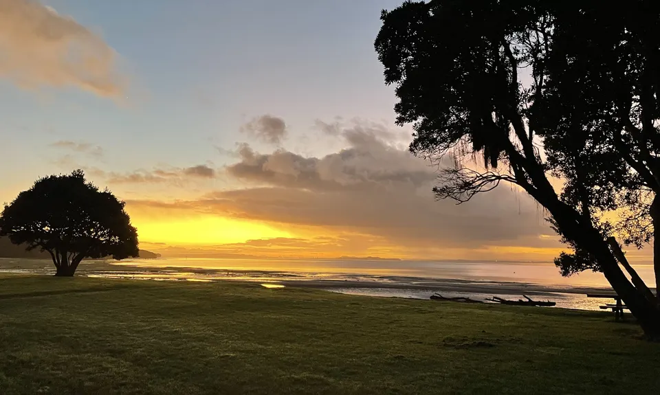 Cornwallis Low-tide Loop, Auckland