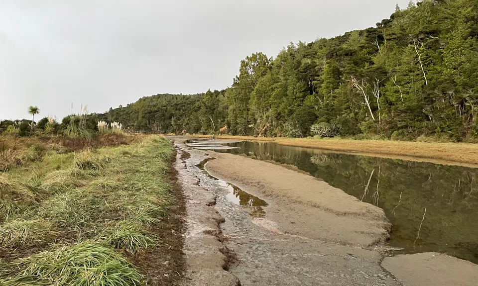 Cornwallis Low-tide Loop, Auckland