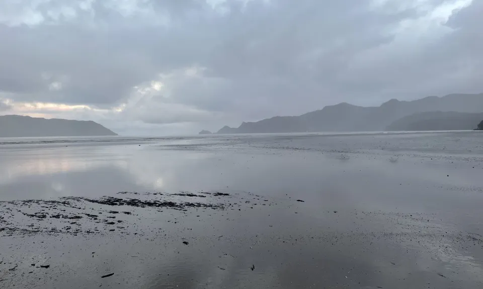 Cornwallis Low-tide Loop, Auckland