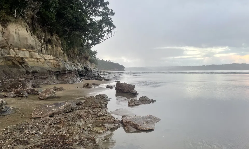 Cornwallis Low-tide Loop, Auckland