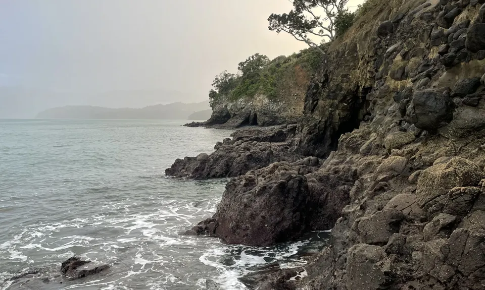 Cornwallis Low-tide Loop, Auckland