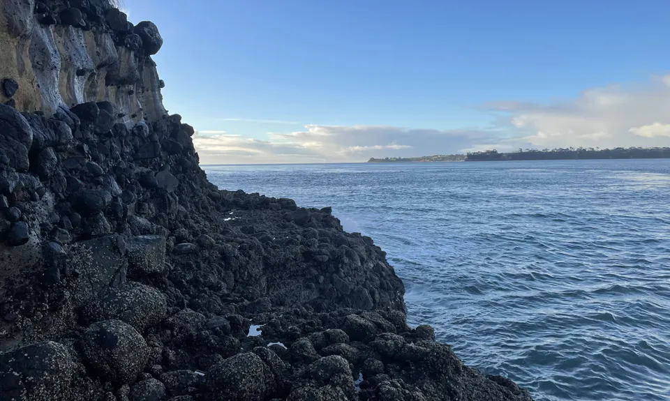 Cornwallis Low-tide Loop, Auckland