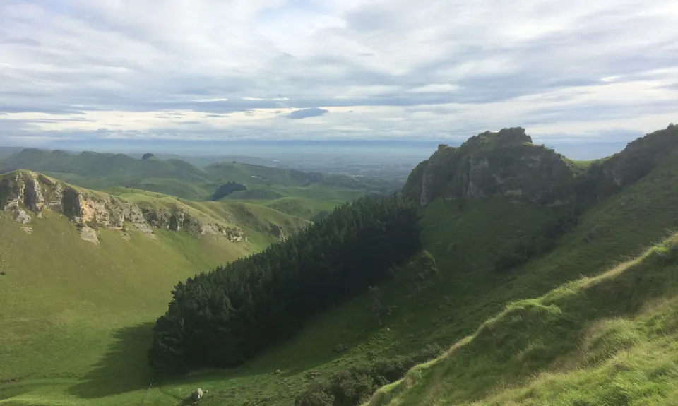 Te Mata Peak Giant Track, Hawkes Bay