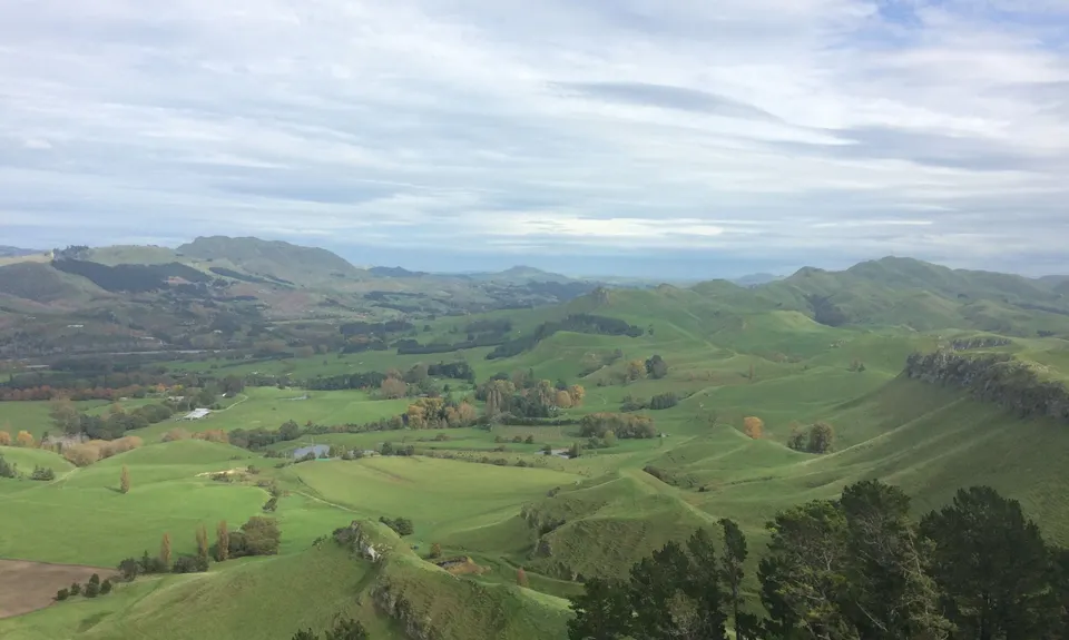 Te Mata Peak Giant Track, Hawkes Bay