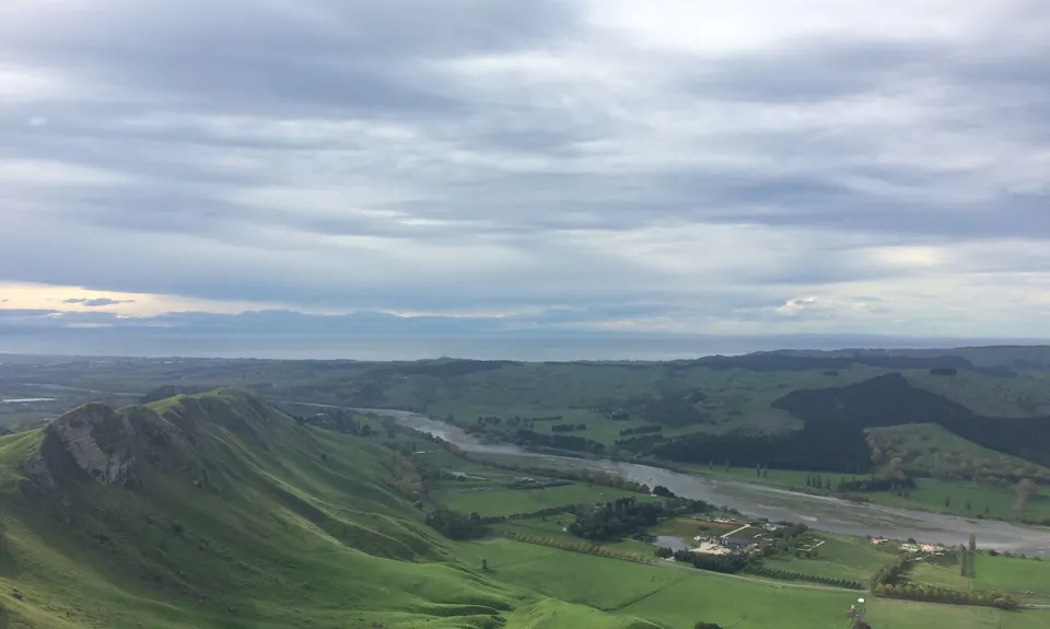 Te Mata Peak Giant Track, Hawkes Bay