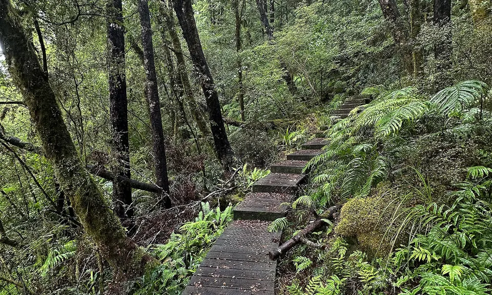 Progress Water Race Track - AKA Stairmaster 2000, West Coast