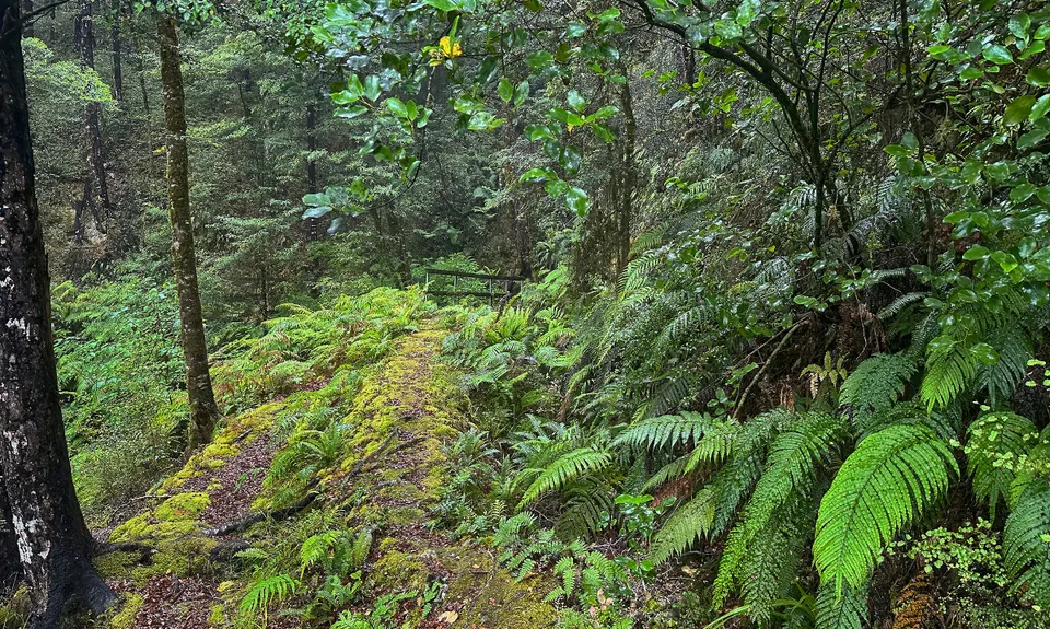 Progress Water Race Track - AKA Stairmaster 2000, West Coast