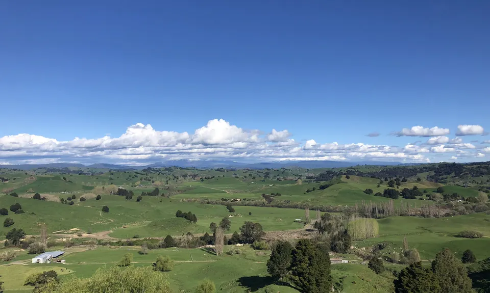 The Other Mt Hikurangi, Manawatu - Wanganui