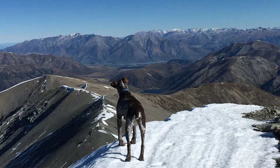 Torlesse Traverse , Canterbury