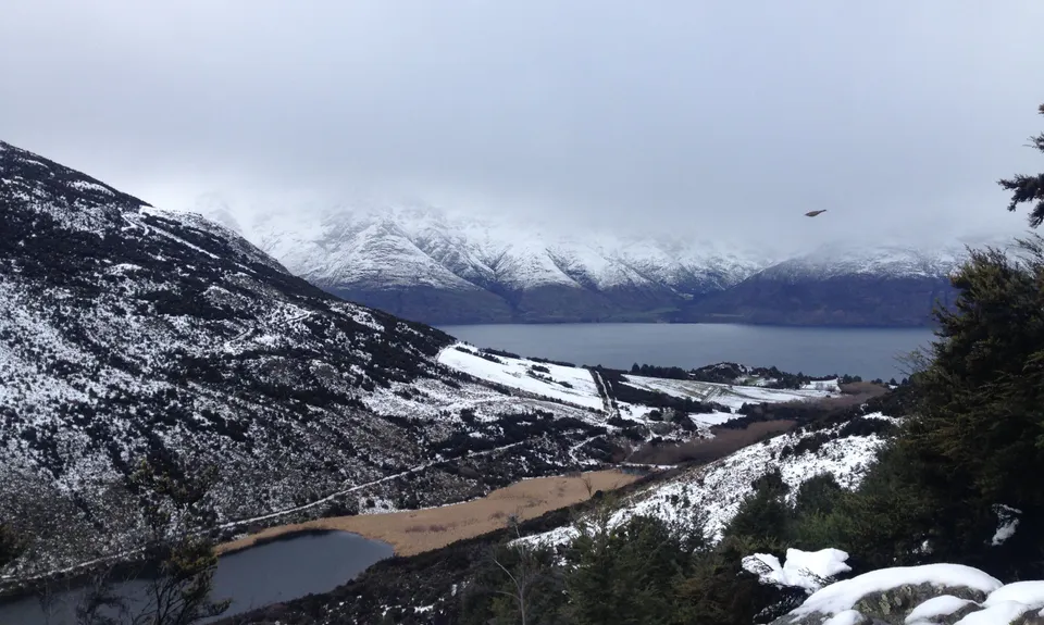Mt. Crichton Loop, Otago