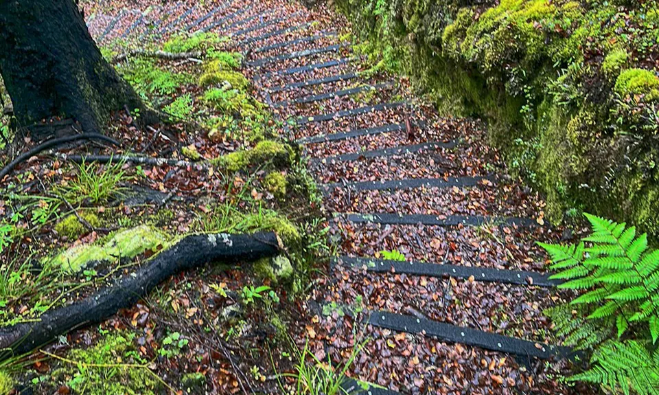 Progress Water Race Track - AKA Stairmaster 2000, West Coast