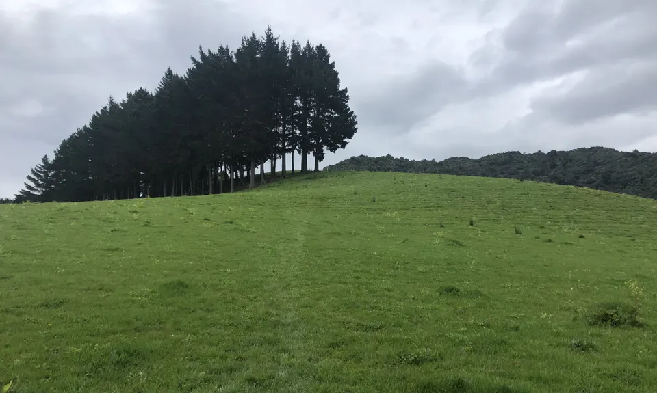 Mt Tamahunga, Auckland