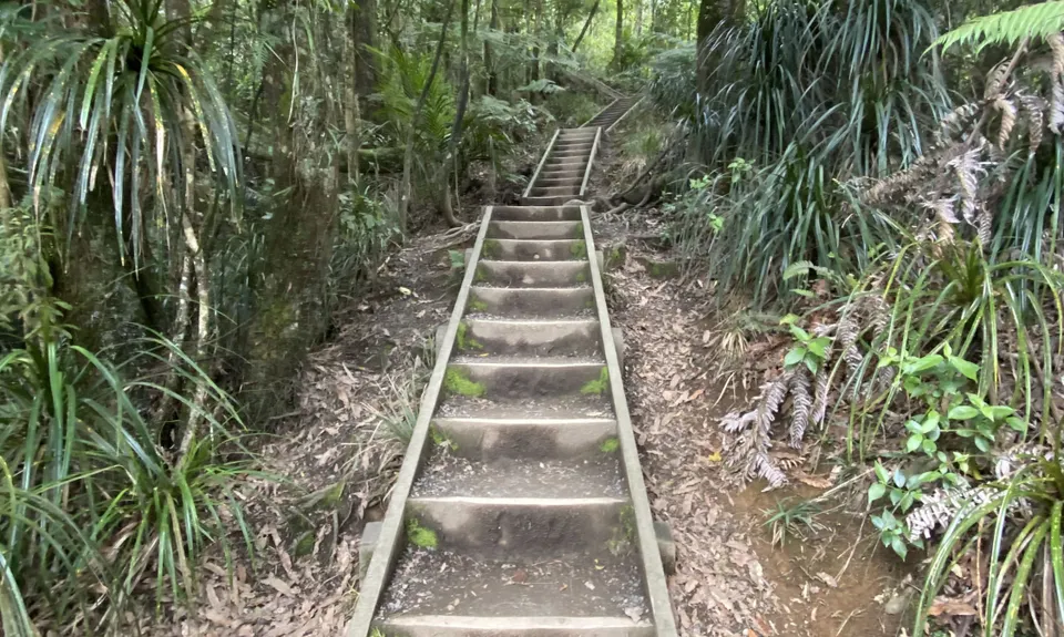 Hilly Hakarimata, Waikato