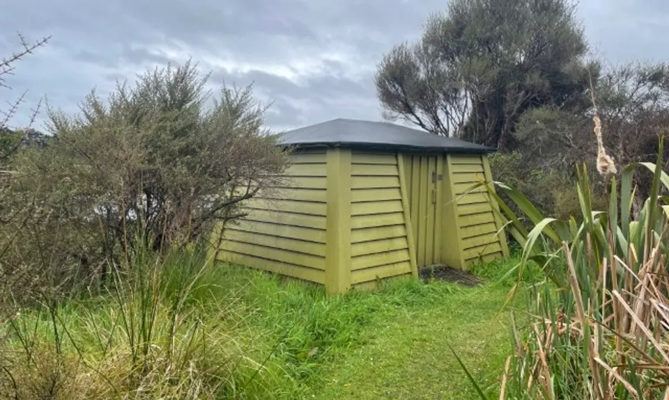 Pauahatanui Trio, Wellington
