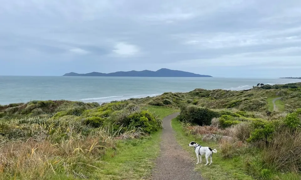 Lizzie's Loop, Wellington