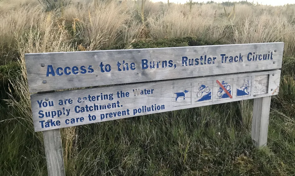Leith Saddle and Burns Track loop, Otago