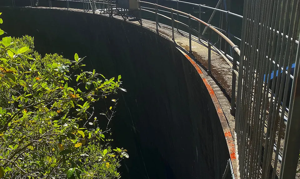 Dam Dam, Marlborough
