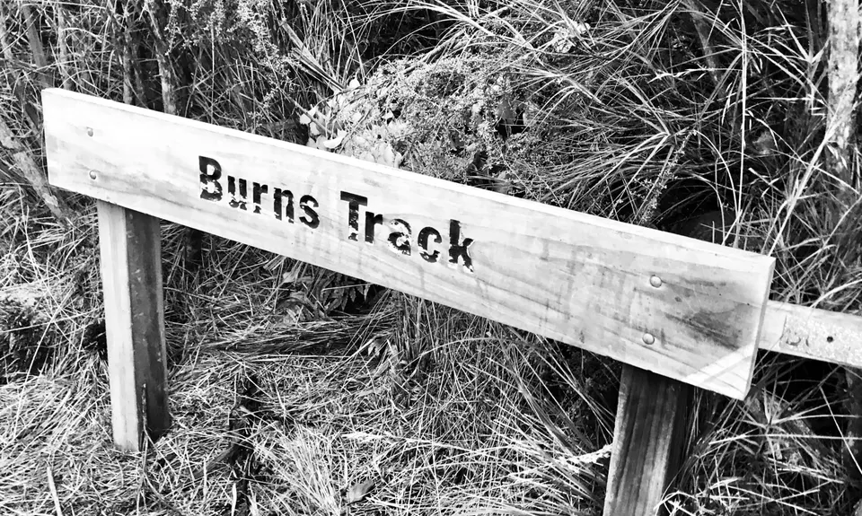 Leith Saddle and Burns Track loop, Otago