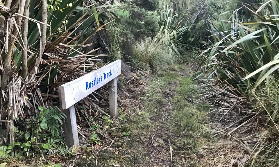 Leith Saddle and Burns Track loop, Otago