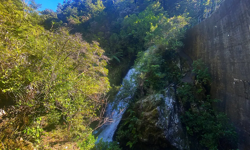 Dam Dam, Marlborough