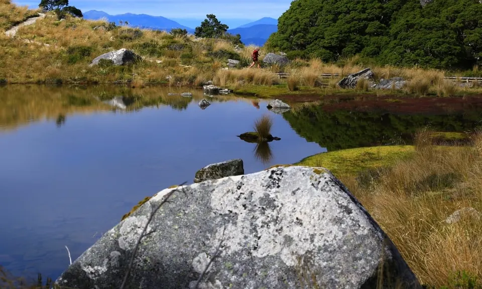 The Old Ghost Road, West Coast