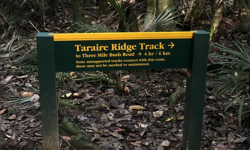 Taraire Ridge and Pukenui Loop, Northland