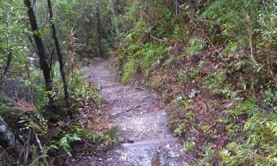 Evansdale Glen loop, Otago