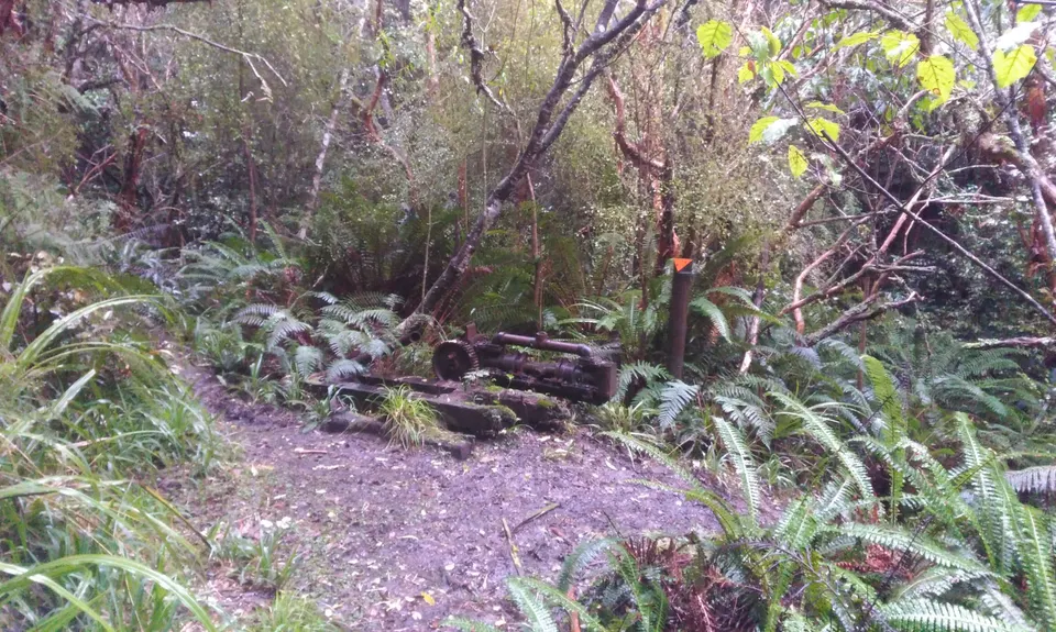Evansdale Glen loop, Otago