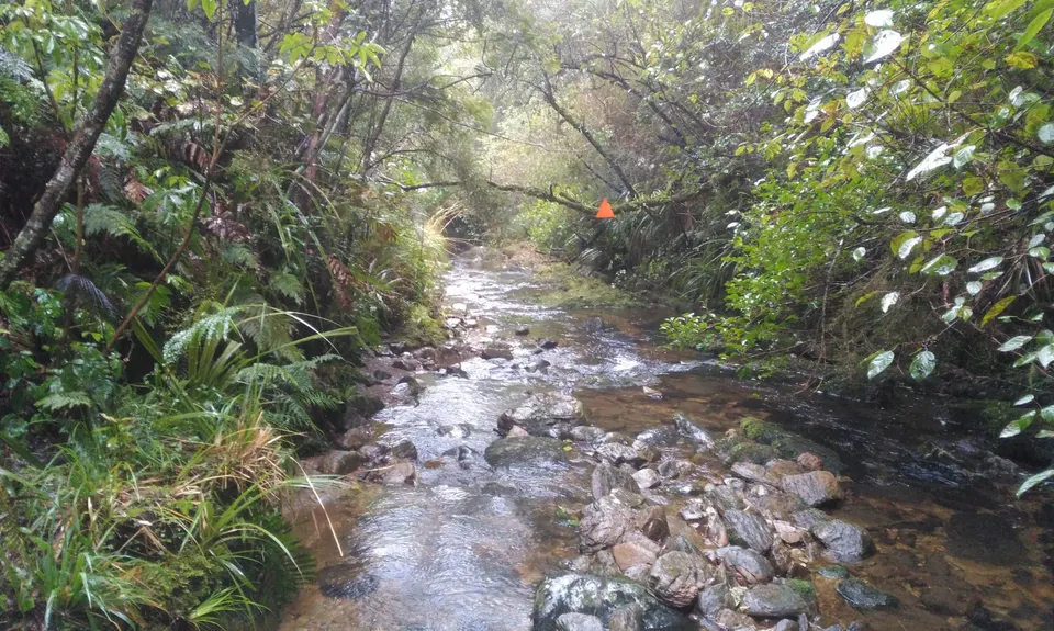 Evansdale Glen loop, Otago