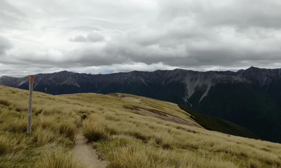 Mt Robert Loop, Tasman