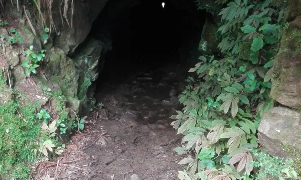 Karangahake Gold, Waikato