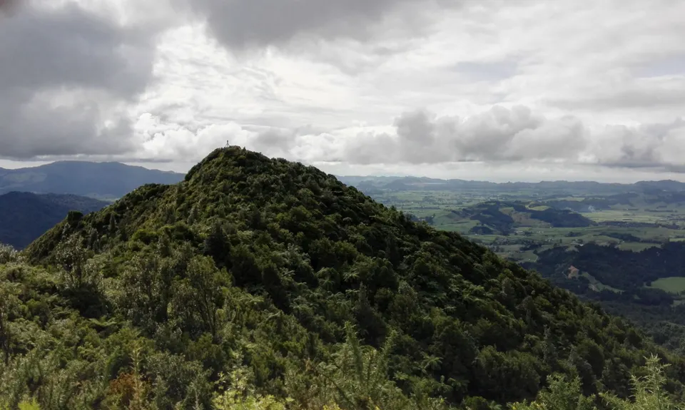 Karangahake Gold, Waikato