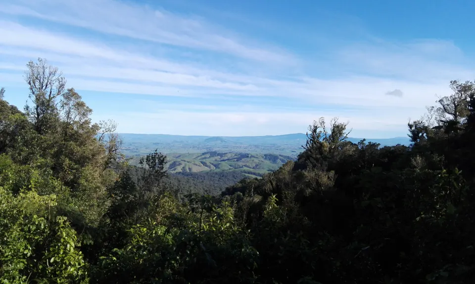 Maungatautari Sanctuary Mountain, Waikato