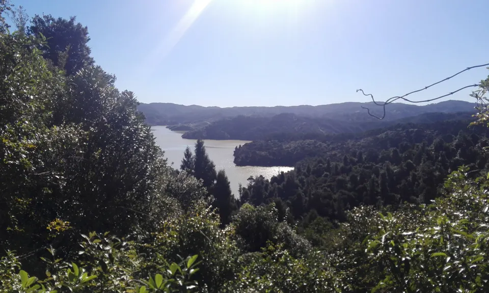 Hunua Falls - Cossey Massey Loop, Auckland