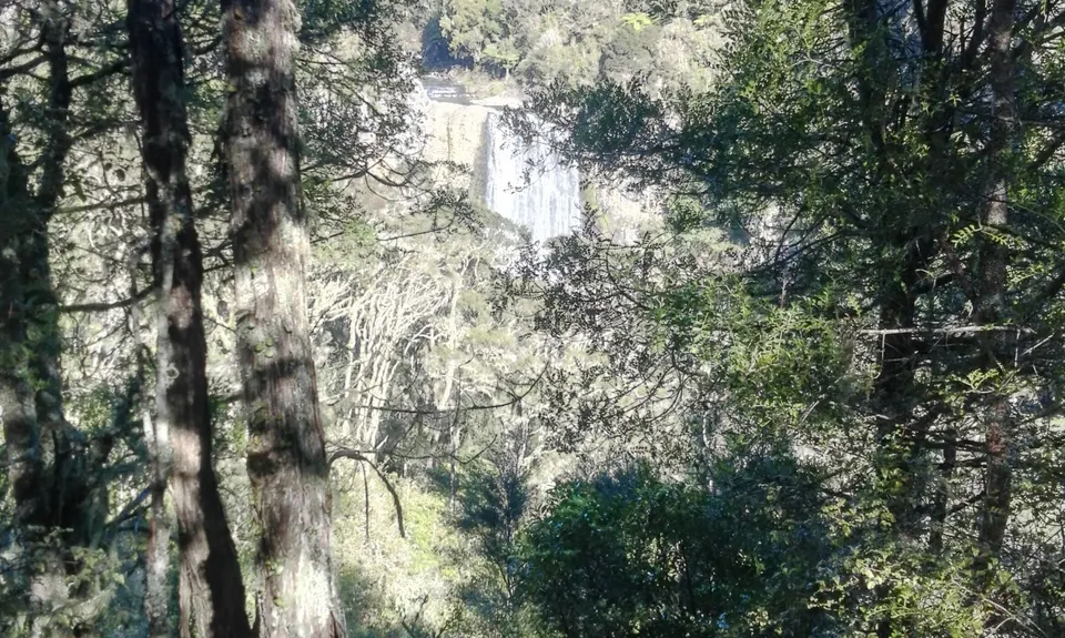 Hunua Falls - Cossey Massey Loop, Auckland