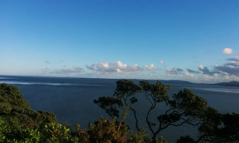 Waikowhai Stairs, Bush & Beach, Auckland