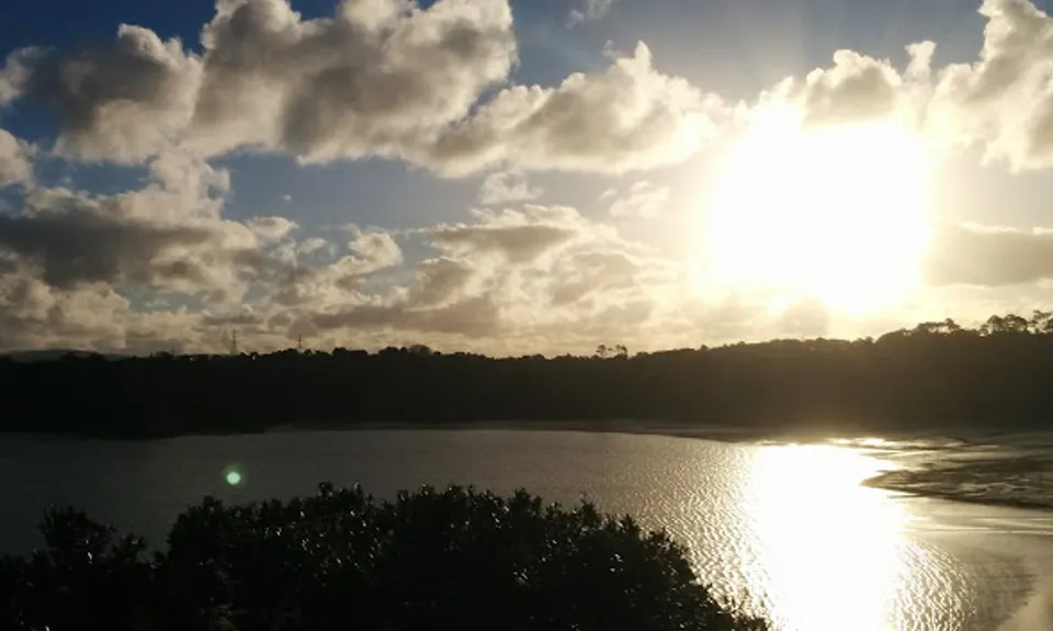 Waikowhai Stairs, Bush & Beach, Auckland